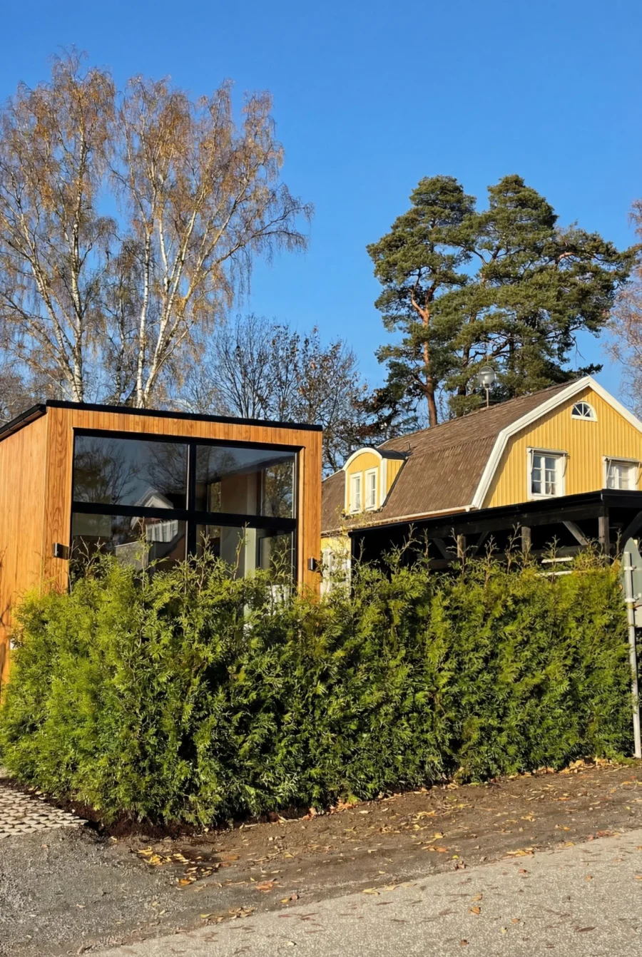 Thuja Brabant Kruka 180-220cm Genius Pack - Bild 3