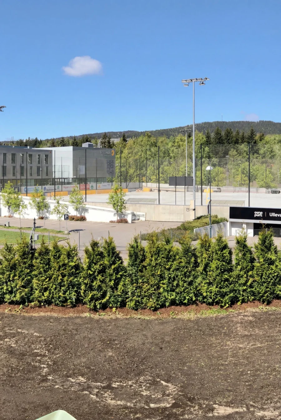 Jättetuja Kruka 220-260cm Genius Pack - Bild 3