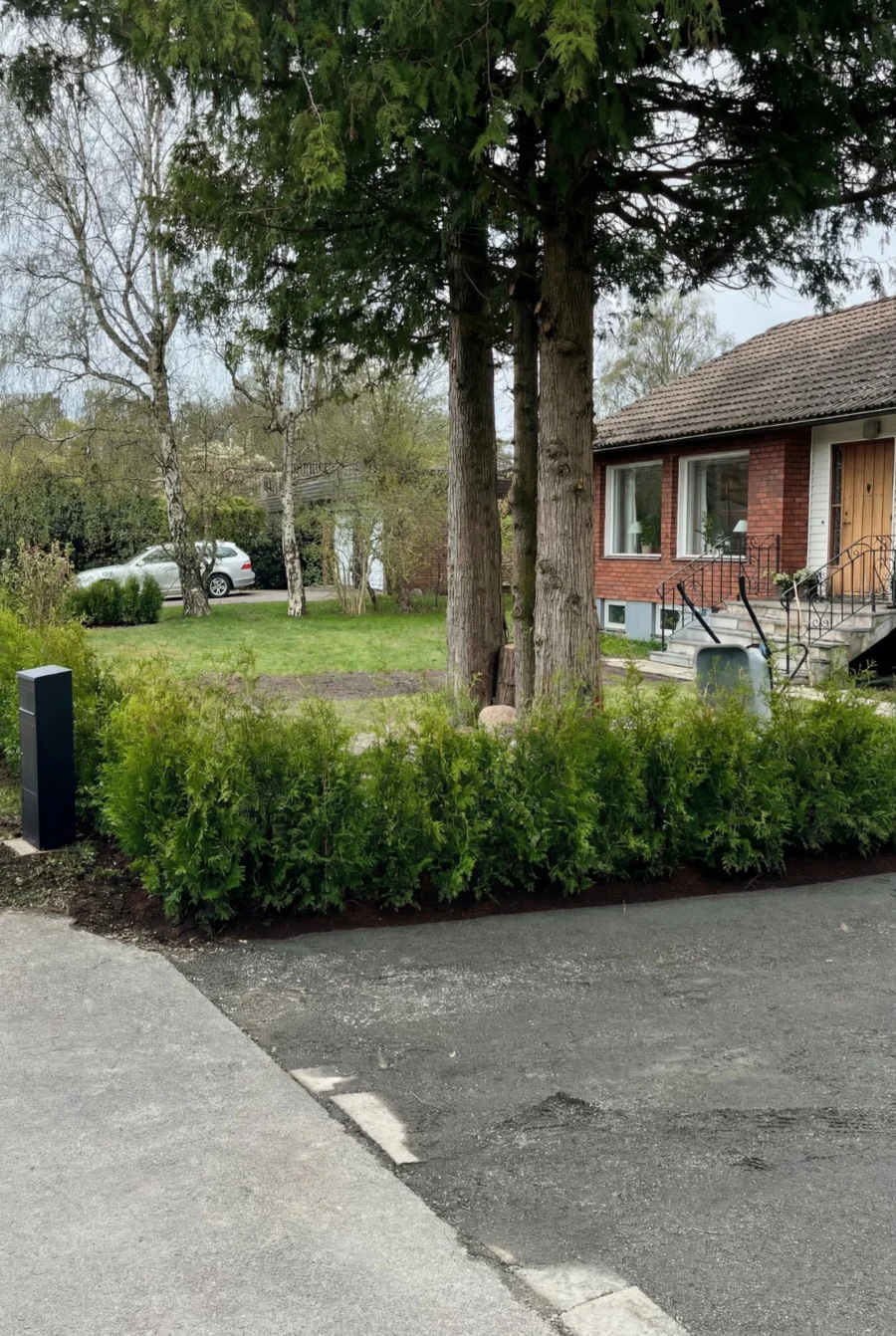 Jättetuja Kruka 60-100cm Genius Pack - Bild 3